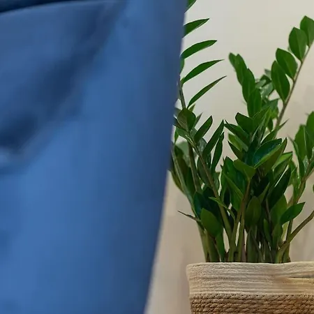 Lägenhet Fabrica 11 *