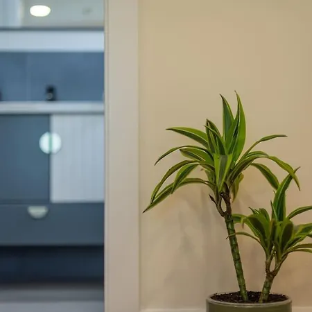 Fabrica 11 Apartamento