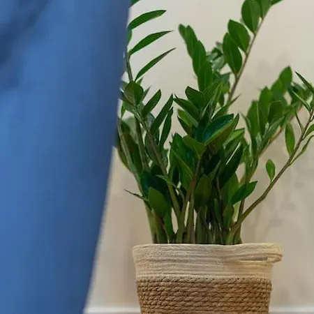 Apartamento Fabrica 11 *