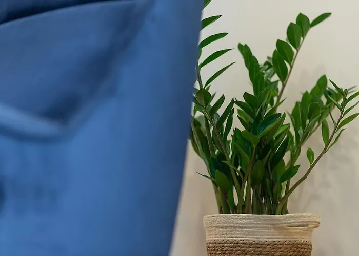 Apartman Fabrica 11 *