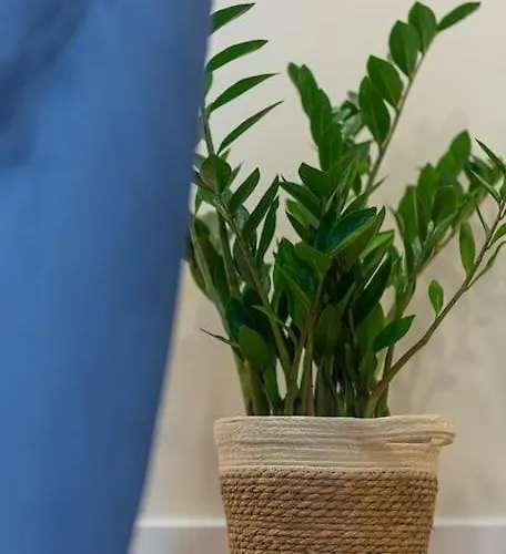 Apartman Fabrica 11 *